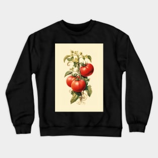 Affiche ancienne Légume - Tomate - Vintage - rétro Crewneck Sweatshirt